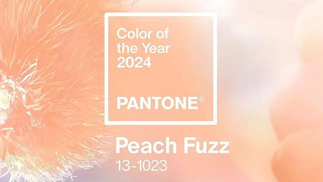 ¿Cuál es el color del año 2024? • Isaval